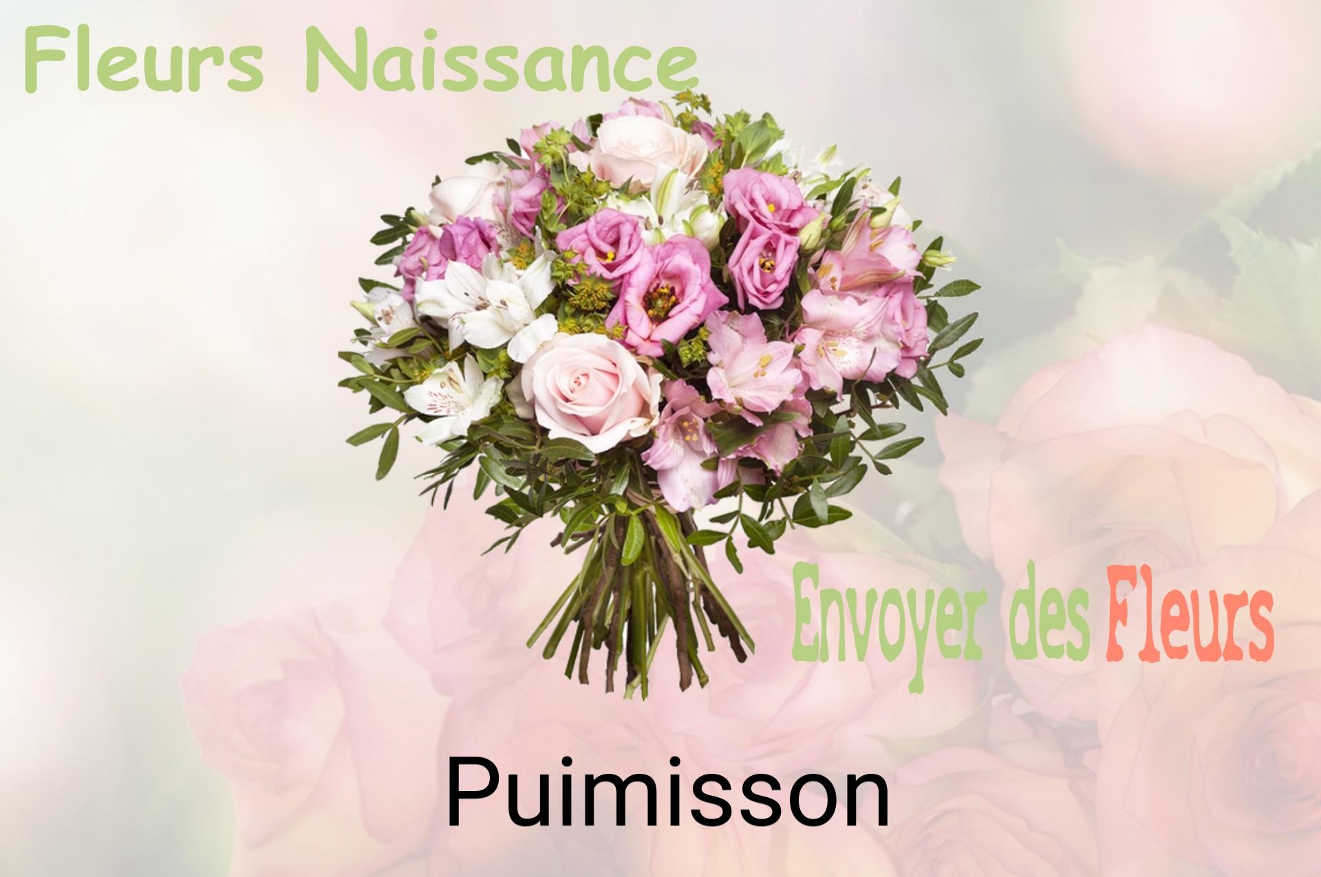 Bouquet de fleurs de naissance livré à Puimisson