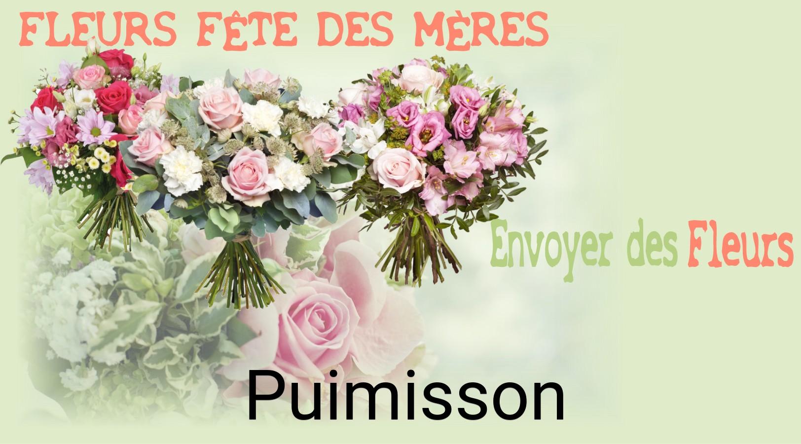 Bouquet de Fête des Mères livré à Puimisson